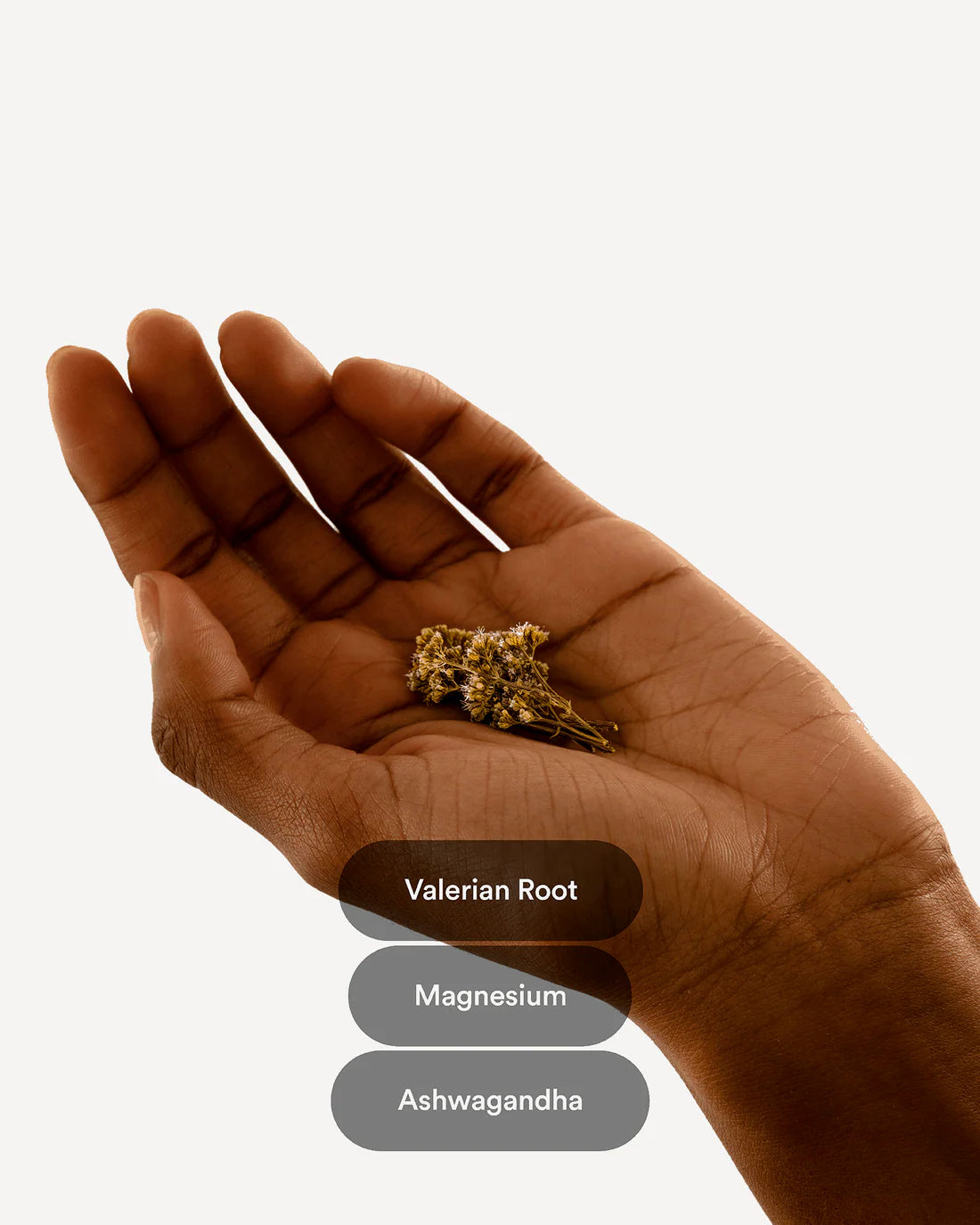 Fittershape Dream Patches Valerian Root - Extra Strong