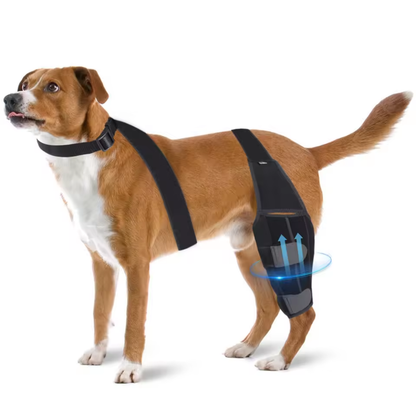 Honden Kniebrace – Verstelbare Banden – Stabiliserende Ondersteuning