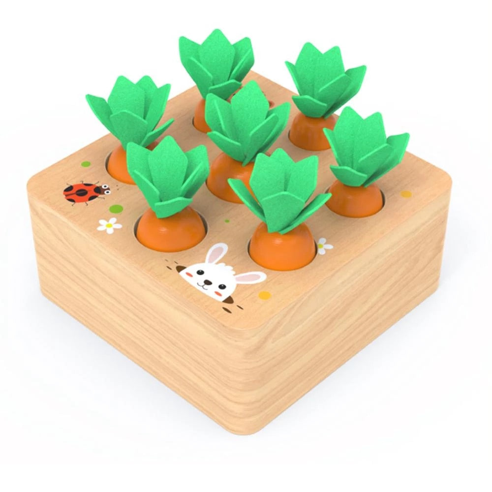 Houten Wortels Sorteerdoos – Educatief – Voor Kinderen – Met Verwijderbare Wortels