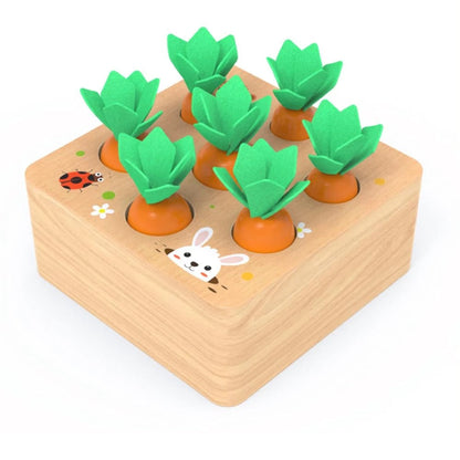 Houten Wortels Sorteerdoos – Educatief – Voor Kinderen – Met Verwijderbare Wortels