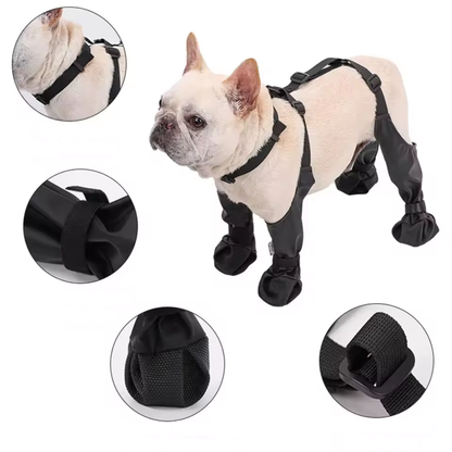 Hondenschoenen met Harnas – Antislip Zool – Klittenbandsluiting