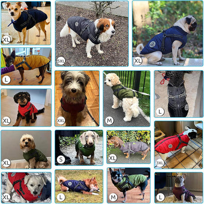 Hondenjas – Warme Winterjas – Voor Kleine en Middelgrote Honden