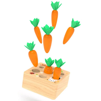 Houten Wortels Sorteerdoos – Educatief – Voor Kinderen – Met Verwijderbare Wortels