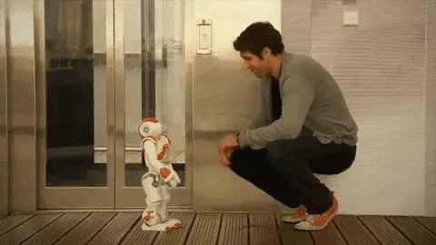 Interactieve Humanoïde Robot – Programmeerbare Functies – Voor educatie en entertainment