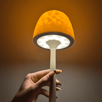 Auraly Lamp – Twee Zielen voor een Magische Sfeer