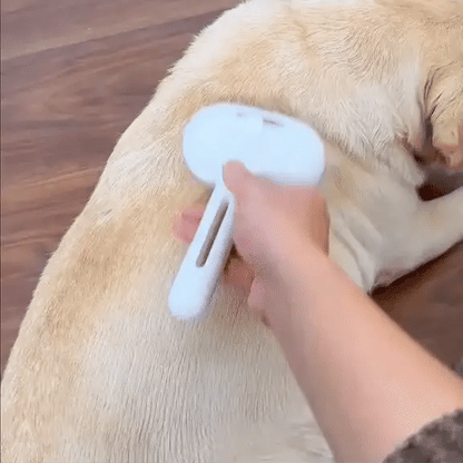 PetGlow Brush – Zachte Huisdierborstel Voor Glanzende Gezonde Vacht