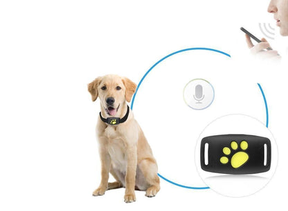 Huisdier GPS Tracker – Verstelbare Halsband – Veiligheidsfunctie voor Katten en Honden