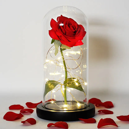 Verlichte Roos – Glazen Bedekking – Decoratie voor Huis en Geschenken