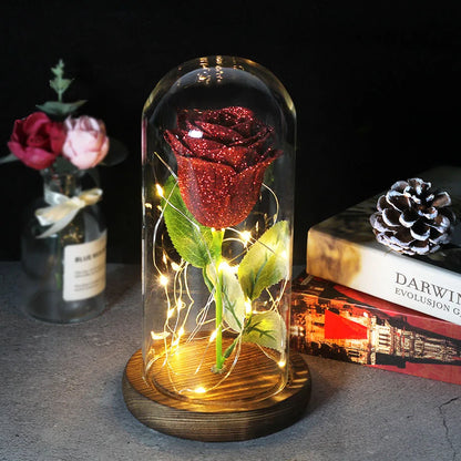 Verlichte Roos – Glazen Bedekking – Decoratie voor Huis en Geschenken