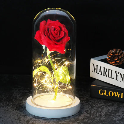 Verlichte Roos – Glazen Bedekking – Decoratie voor Huis en Geschenken