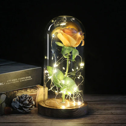 Verlichte Roos – Glazen Bedekking – Decoratie voor Huis en Geschenken