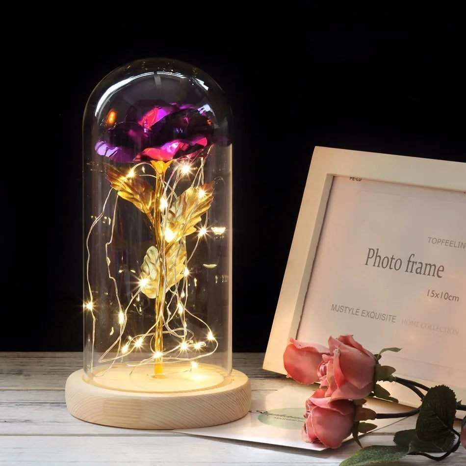 Verlichte Roos – Glazen Bedekking – Decoratie voor Huis en Geschenken