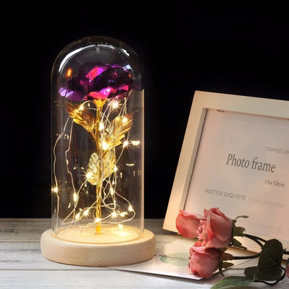 Verlichte Roos – Glazen Bedekking – Decoratie voor Huis en Geschenken