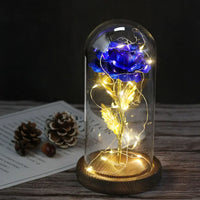 Blauw Gouden Steel Donker