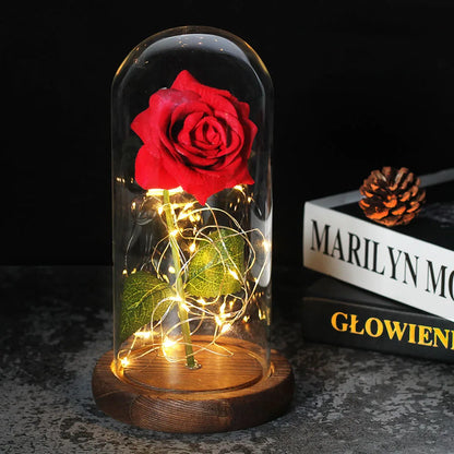 Verlichte Roos – Glazen Bedekking – Decoratie voor Huis en Geschenken