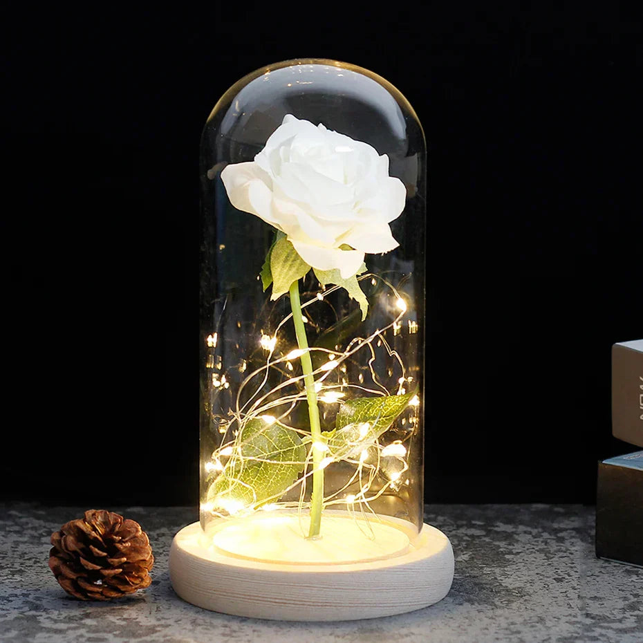 Verlichte Roos – Glazen Bedekking – Decoratie voor Huis en Geschenken