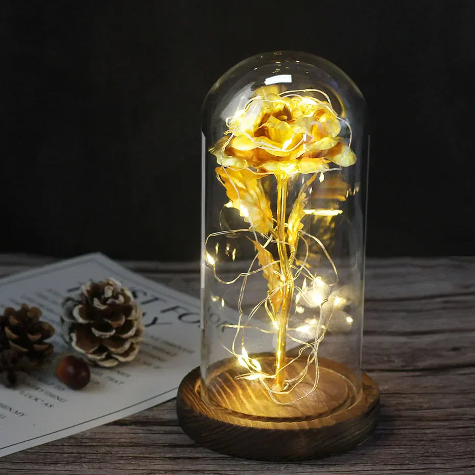 Verlichte Roos – Glazen Bedekking – Decoratie voor Huis en Geschenken