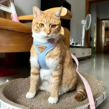 Honden- en Kattenharnas – Verstelbaar – Ademend – Voor Binnen en Buiten