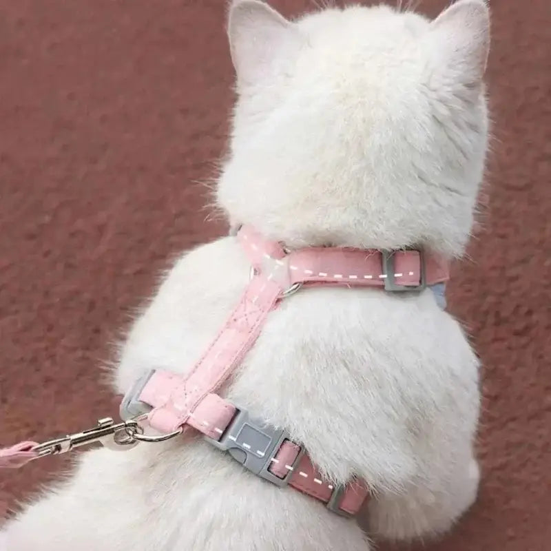 Honden- en Kattenharnas – Verstelbaar – Ademend – Voor Binnen en Buiten