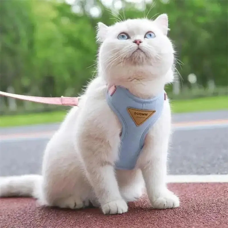 Honden- en Kattenharnas – Verstelbaar – Ademend – Voor Binnen en Buiten