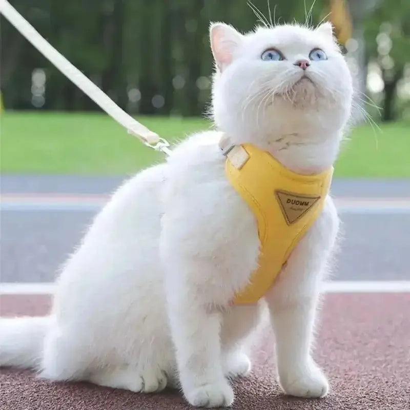Honden- en Kattenharnas – Verstelbaar – Ademend – Voor Binnen en Buiten