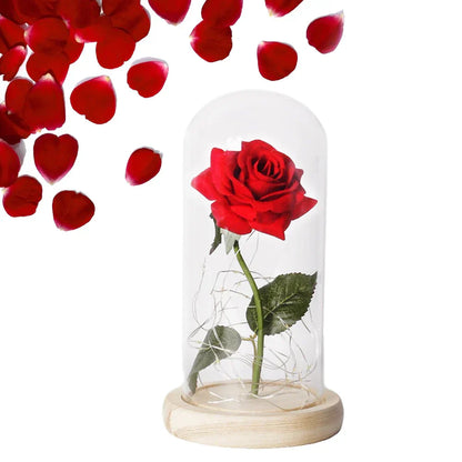 Verlichte Roos – Glazen Bedekking – Decoratie voor Huis en Geschenken