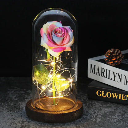 Verlichte Roos – Glazen Bedekking – Decoratie voor Huis en Geschenken