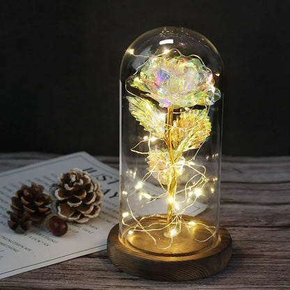 Verlichte Roos – Glazen Bedekking – Decoratie voor Huis en Geschenken