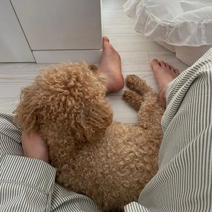 Dames 2-Delige Pyjama Set - Gestreept Lange Mouwen Top met Broek