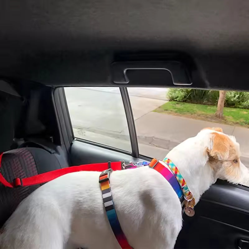 Honden Autogordel – Verstelbare Hoofdsteunlus – Karabijnhaak