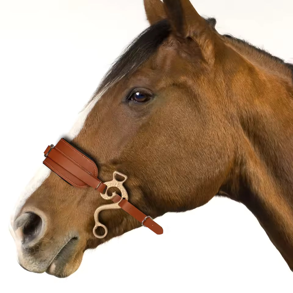 Paardenhoofdstel met Bit – Leren Neusriem – Metalen Ringen