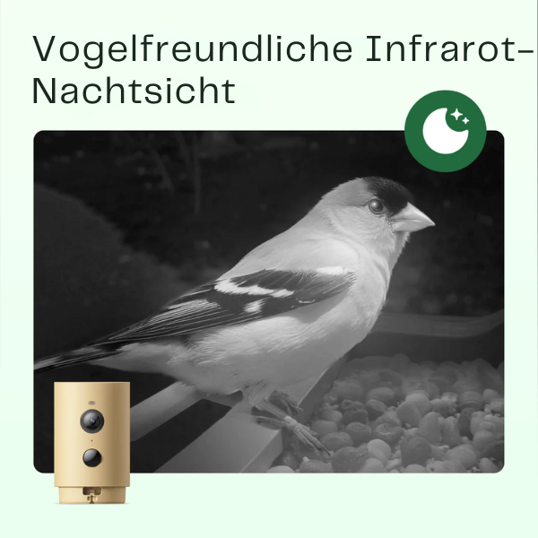 Slimme Vogelvoederautomaat – Camera met Nachtzicht – App-besturing – Voor Vogelherkenning