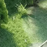 Grastrimmer Accessoire – Stalen Borstelkop – Voor Onkruidverwijdering