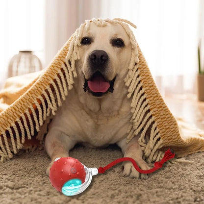 Virall Rolling Ball – Geluidseffecten – Robuuste structuur – Voor honden
