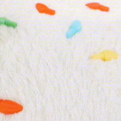 Educatief Speelgoed – Kleurige Tortoise met Pinnen – Voor Baby’s