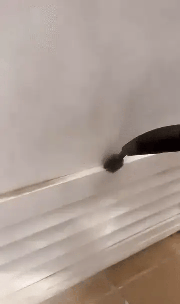 Draadloze Stoomreiniger – 9 Opzetstukken – Voor Grondige Reiniging van Huis en Auto