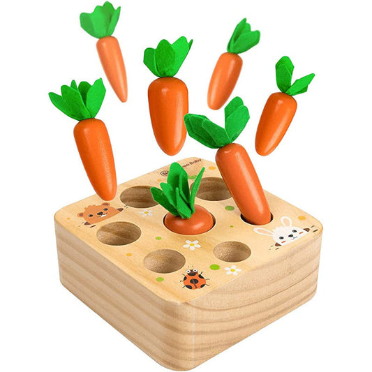Houten Wortels Sorteerdoos – Educatief – Voor Kinderen – Met Verwijderbare Wortels