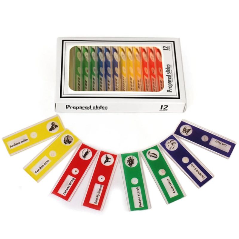 Handheld Microscoop – Zoomfunctie 120x-60x – Voor Educatief Gebruik