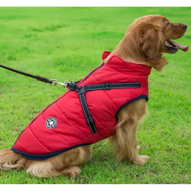 Hondenjas – Warme Winterjas – Voor Kleine en Middelgrote Honden