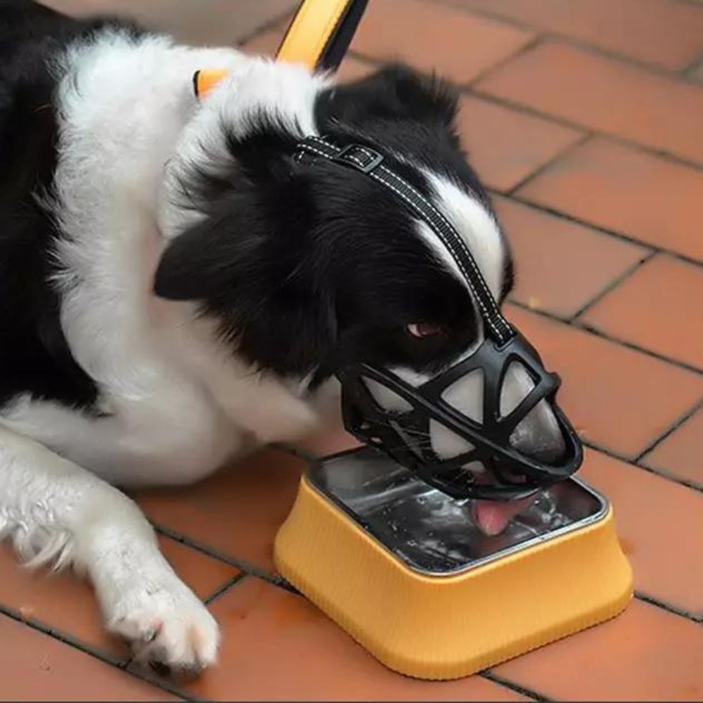 Hondenmuilkorf – Ademend ontwerp – Verstelbare riemen – Voor training en controle